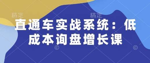 直通车实战系统：低成本询盘增长课，让个人通过技能实现升职加薪，让企业低成本获客，订单源源不断-大可网创