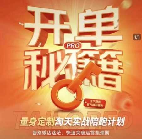 淘宝开单秘籍PRO，量身定制淘天实战陪跑计划，告别做店迷茫、快速突破运营瓶颈期-大可网创