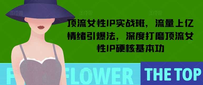顶流女性IP实战班，流量上亿情绪引爆法，深度打磨顶流女性IP硬核基本功-大可网创