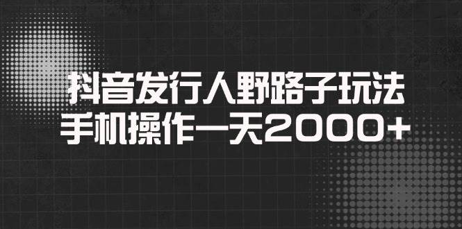 （14068期）抖音发行人野路子玩法，手机操作一天2000+-大可网创