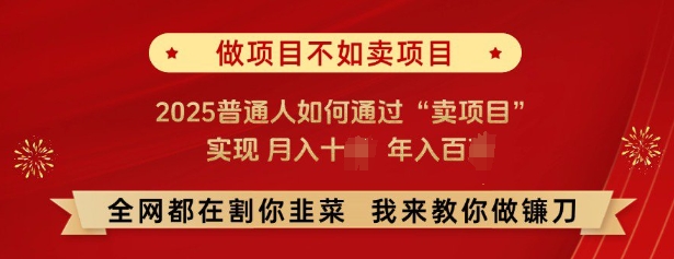 必看，做项目不如卖项目，2025普通人如何通过“卖项目”实现月入十个，年入百个-大可网创