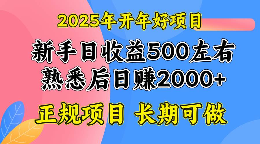 （14076期）2025开年好项目，单号日收益2000左右-大可网创