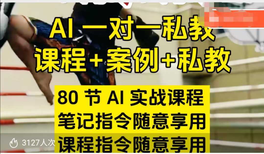 AI指令实战课，课程+案例，80节AI实战课程，笔记指令随意享用，课程指令随意享用-大可网创