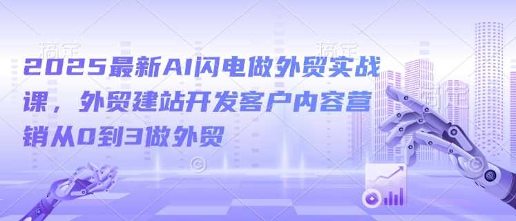 2025最新AI闪电做外贸实战课，外贸建站开发客户内容营销从0到3做外贸-大可网创