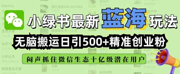 小绿书无脑搬运引流，全自动日引500精准创业粉，微信生态内又一个闷声发财的机会-大可网创