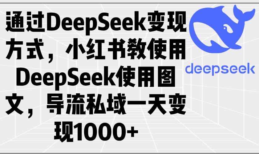 （14179期）通过DeepSeek变现方式，小红书教使用DeepSeek图文，导流私域一天变现1000+-大可网创
