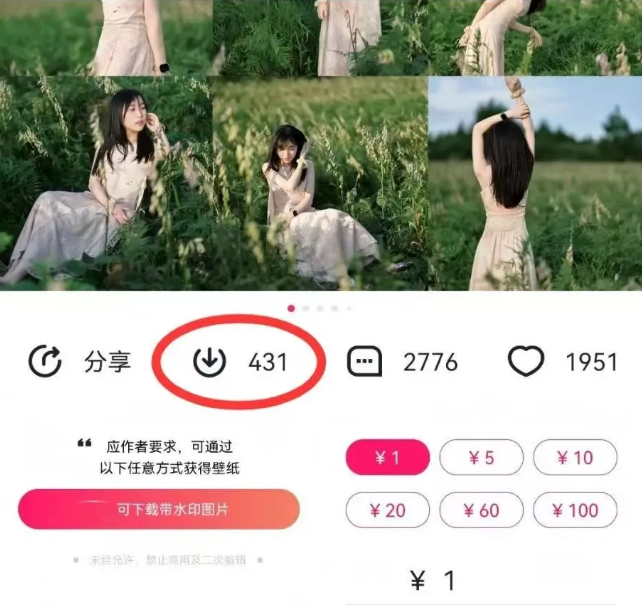 图片[2]-最新图虫搬运项目，收益无上限，利用AI小白也可日赚500+-大可网创