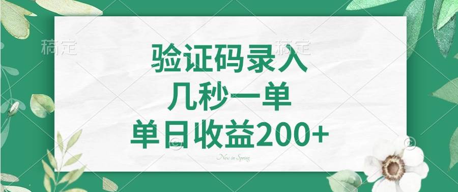 （14221期）验证码录入，几秒一单，单日收益200+-大可网创