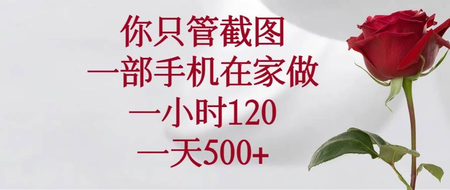 （14248期）你只管截图，一部手机在家做，一小时120，一天500+-大可网创