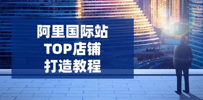 （14269期）阿里国际站TOP店铺打造教程：涵盖平台到高阶，解决运营难题，提升询盘-大可网创