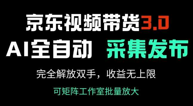 京东视频带货3.0，Ai全自动采集+自动发布，完全解放双手，收入无上限-大可网创