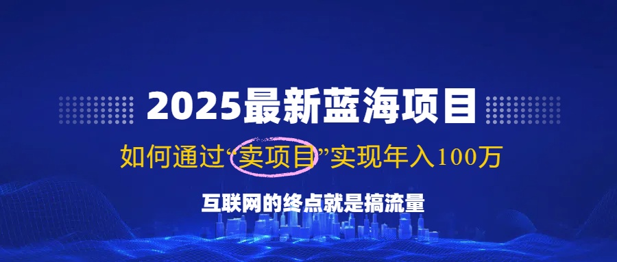 （14305期）2025最新蓝海项目，零门槛轻松复制，月入10万+，新手也能操作！-大可网创