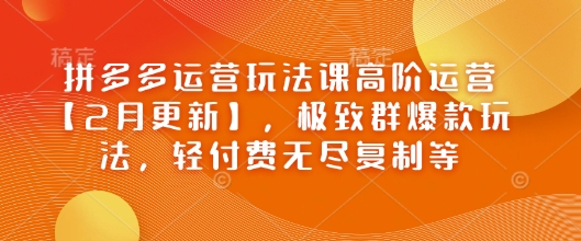 拼多多运营玩法课高阶运营【2月更新】，极致群爆款玩法，轻付费无尽复制等-大可网创