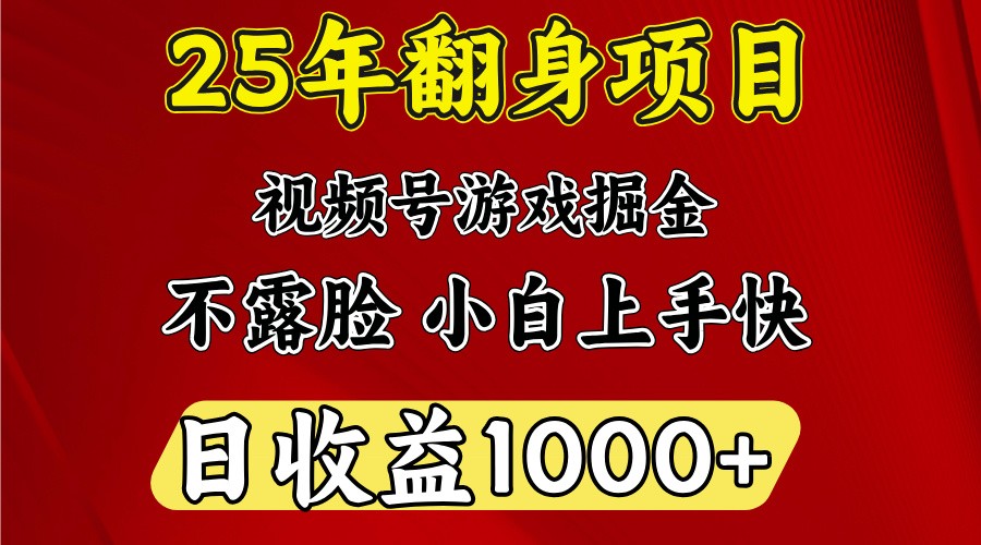 一天收益1000+ 25年开年落地好项目-大可网创