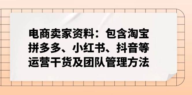 （14354期）电商卖家资料：包含淘宝、拼多多、小红书、抖音等运营干货及团队管理方法-大可网创