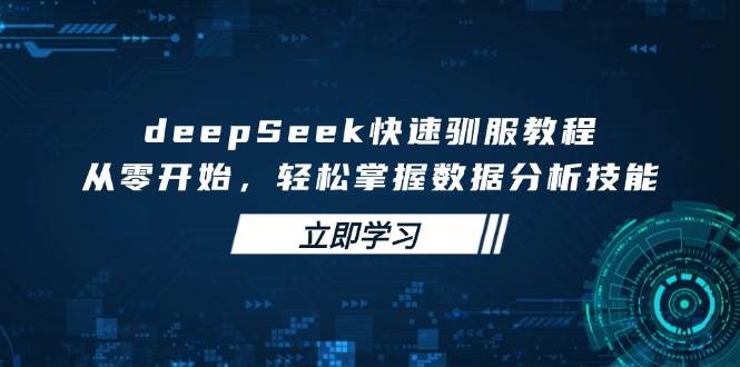 （14536期）deepSeek快速驯服教程，从零开始，轻松掌握数据分析技能-大可网创