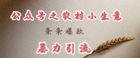 deepseek写农村小项目，条条爆款，暴力引流-大可网创