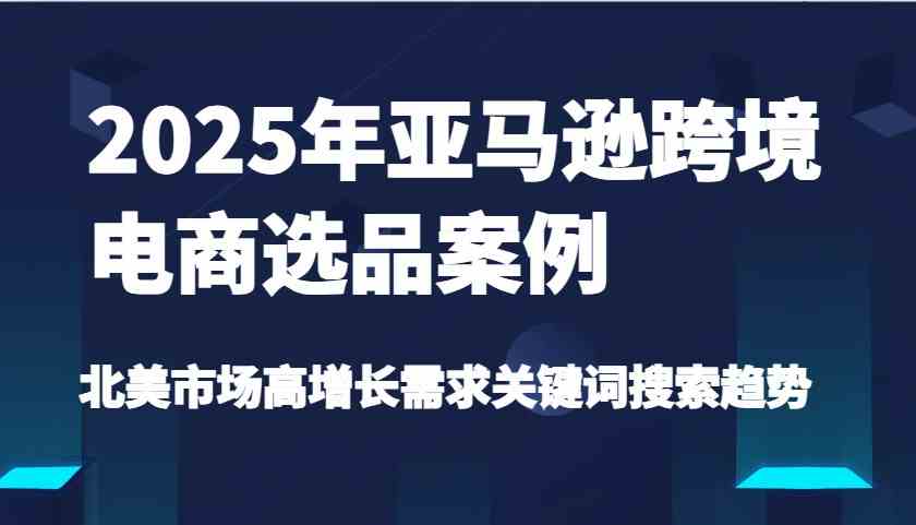 2025年亚马逊跨境电商选品案例-北美市场高增长需求关键词搜索趋势（更新)-大可网创