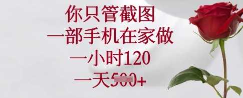 你只管截图，一部手机在家做，一小时120.一天5张【揭秘】-大可网创