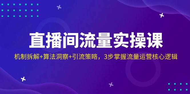 （14122期）直播间流量实操课：机制拆解+算法洞察+引流策略，3步掌握流量运营核心逻辑-大可网创