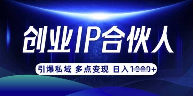 云帆·创业ip合伙人打造3.0，从0到1教你做网创，实现月入过W-大可网创