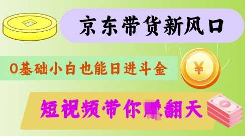 最新京东短视频带货代运营秘籍，轻松躺挣【揭秘】-大可网创