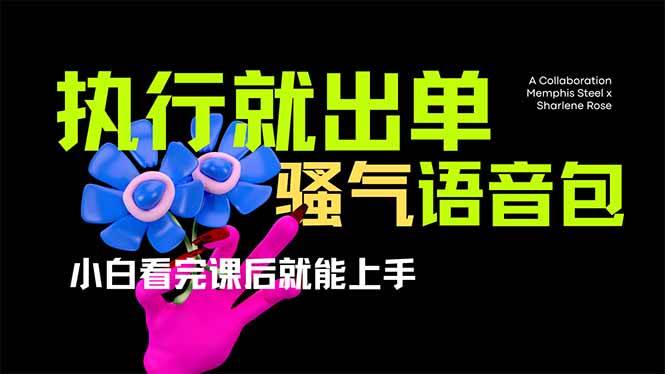 （14170期）爆火全网的开车导航骚气语音包,只要执行就出单，小白看完课程就能实操…-大可网创