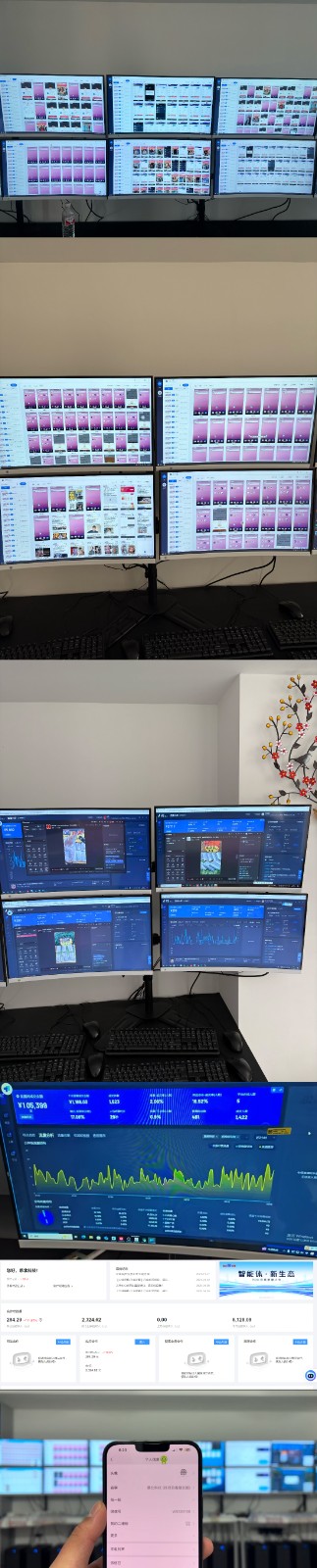 图片[2]-实操项目合集 挂机类型 直播类型 轻资产创业类型 课程分享各项目介绍和原理-大可网创