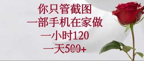 你只管截图，一部手机在家操作，一小时120.一天5张【揭秘】-大可网创