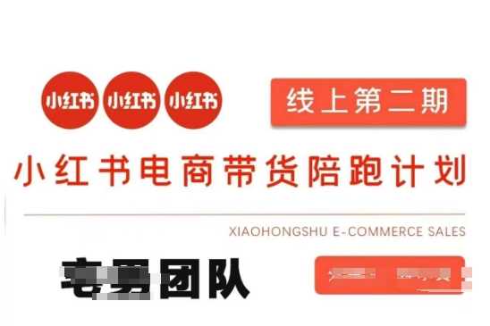 小红书电商带货课2期，月利润20个的小红书电商的有货源，无货源，虚拟产品，付费投流等整套玩法-大可网创