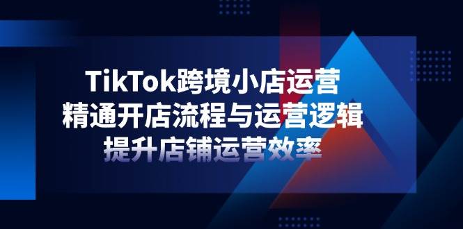 （14369期）TikTok跨境小店运营，精通开店流程与运营逻辑，提升店铺运营效率-大可网创
