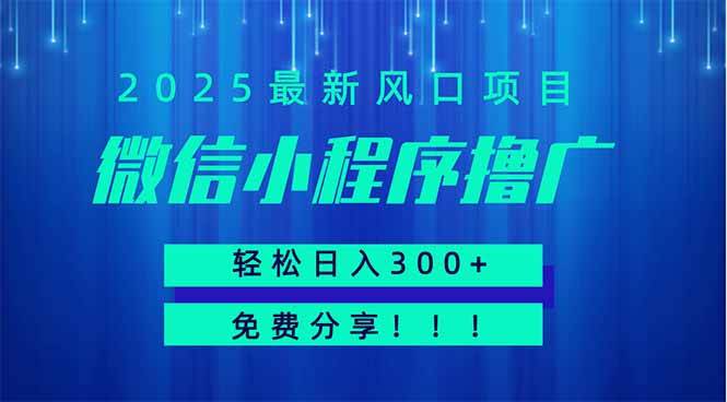 （14375期）微信小程序撸广，最新风口项目，日入300+ 免费分享 可批量操作 小白可…-大可网创