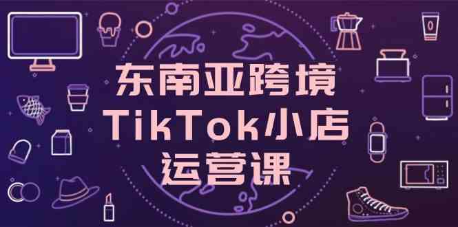 东南亚跨境TikTok小店运营课，掌握店铺设置与流量转化核心技巧-大可网创