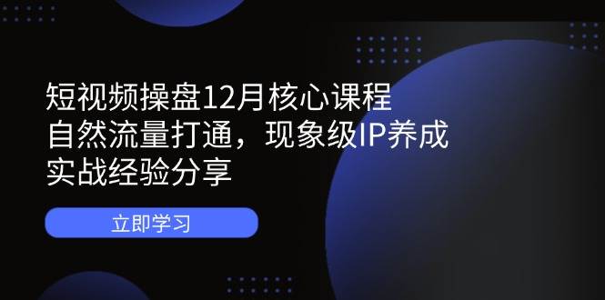 短视频操盘12月核心课程：自然流量打通，现象级IP养成，实战经验分享-大可网创