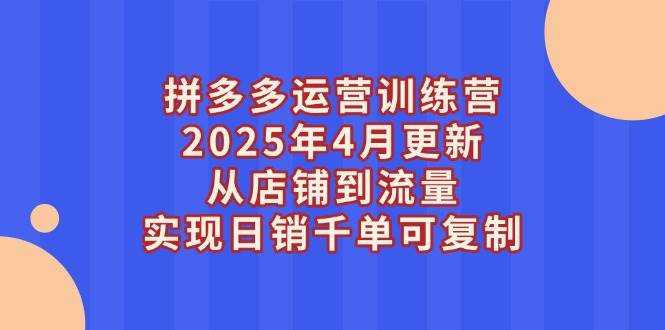 （14469期）拼多多运营训练营2025年4月更新，从店铺到流量，实现日销千单可复制-大可网创