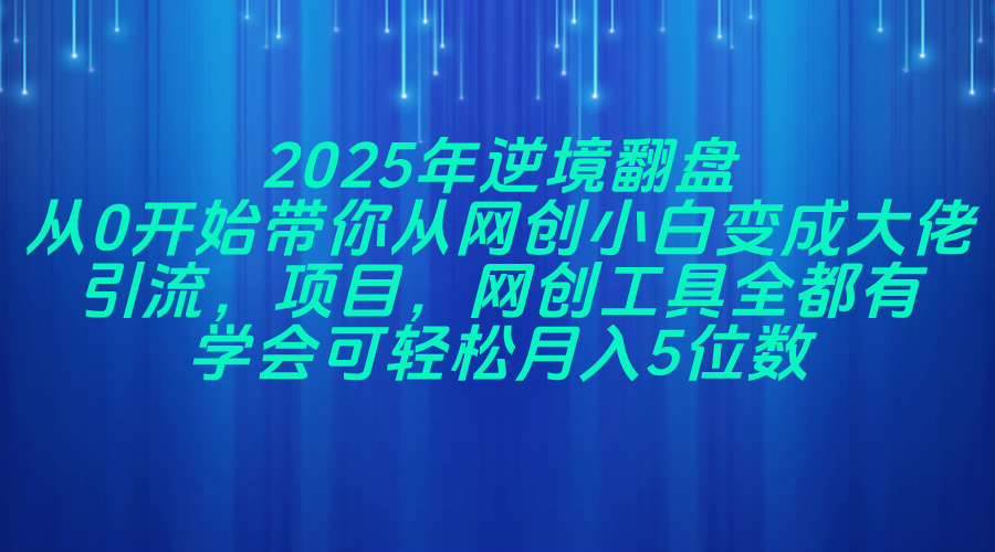 （14473期）2025年逆境翻盘，从0开始带你从网创小白变成大佬，引流，项目，网创工…-大可网创