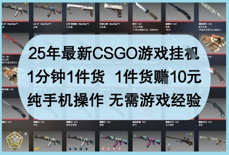 25年最新CSGO游戏挂G，1分钟1件货，1件货挣10元，纯手机操作，无需游戏经验【揭秘】-大可网创