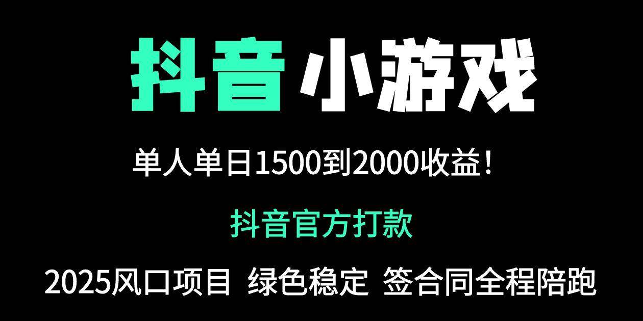 （14527期）抖音官方小游戏2025全网最新玩法，暴利赚钱项目，单机日入2000+，绝不…-大可网创