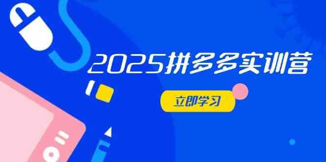 2025拼多多实训营：深度剖析运营关键，助力电商人快速提升-大可网创