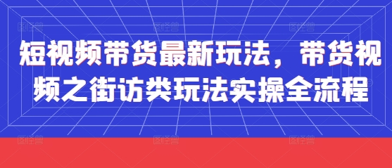 短视频带货最新玩法，带货视频之街访类玩法实操全流程-大可网创