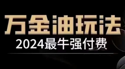 2024最牛强付费，万金油强付费玩法，干货满满，全程实操起飞（更新25年04月）-大可网创