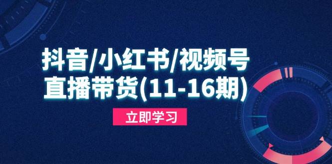 （14611期）抖音/小红书/视频号/直播带货(11-16期)，快速掌握平台规则，打造爆款内容-大可网创