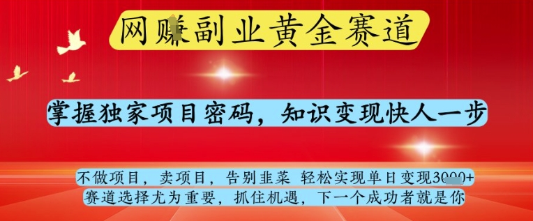 网创副业黄全赛道，掌握独家项目密码，知识变现快人一步，告别韭菜轻松实现单日变现1k+【揭秘】-大可网创