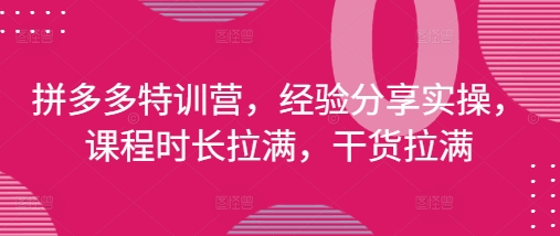 拼多多特训营，经验分享实操，课程时长拉满，干货拉满(更新25年4月)-大可网创