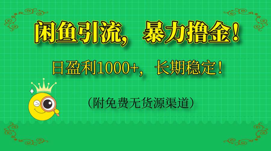 （14647期）闲鱼引流，暴力撸金，日盈利1000+，长期稳定！（附免费无货源渠道）-大可网创