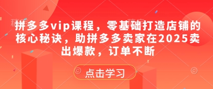 拼多多vip课程，零基础打造店铺的核心秘诀，助拼多多卖家在2025卖出爆款，订单不断-大可网创