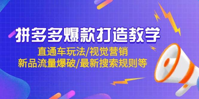 （14681期）拼多多爆款打造教学：直通车玩法/视觉营销/新品流量爆破/最新搜索规则等-大可网创