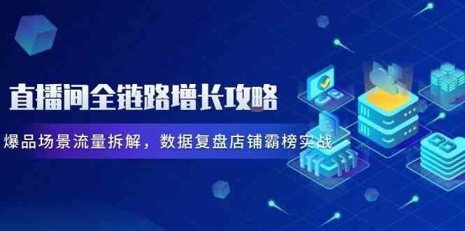 直播间全链路增长攻略，爆品场景流量拆解，数据复盘店铺霸榜实战-大可网创