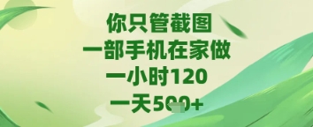 你只管截图，一部手机在家做，苹果安卓都可以，一天5张+【揭秘】-大可网创
