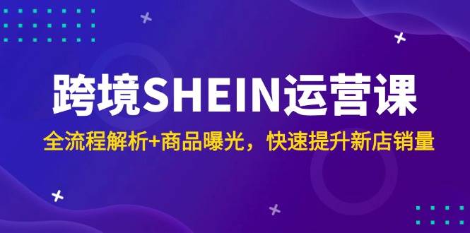 （14832期）跨境SHEIN运营课，全流程解析+商品曝光，快速提升新店销量-大可网创